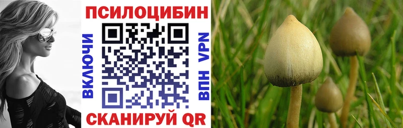 Галлюциногенные грибы Magic Shrooms  блэк спрут маркетплейс  Карабаш 